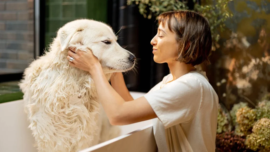 PriceGPT for Everyday Essentials: From Diapers to Dog Food, Compare Prices in Seconds