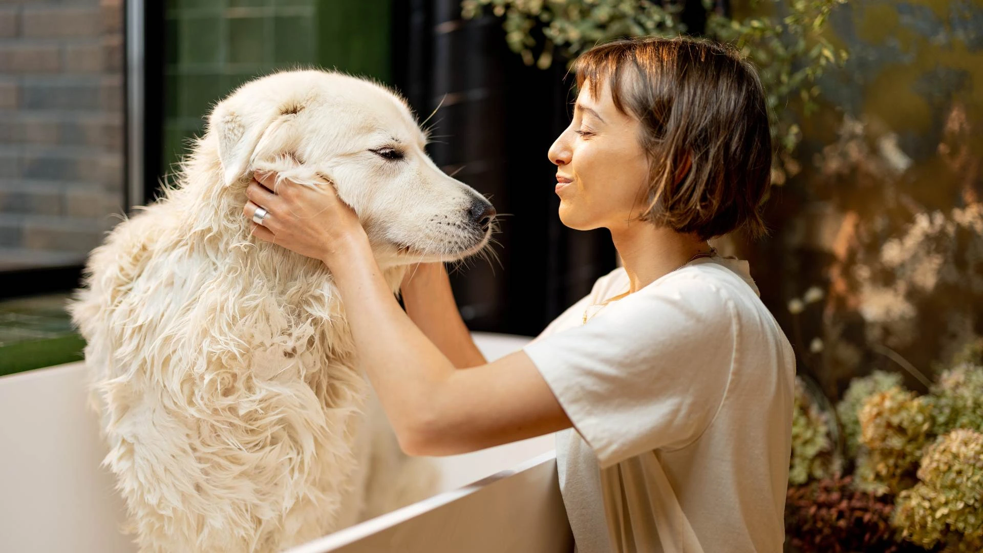 PriceGPT for Everyday Essentials: From Diapers to Dog Food, Compare Prices in Seconds