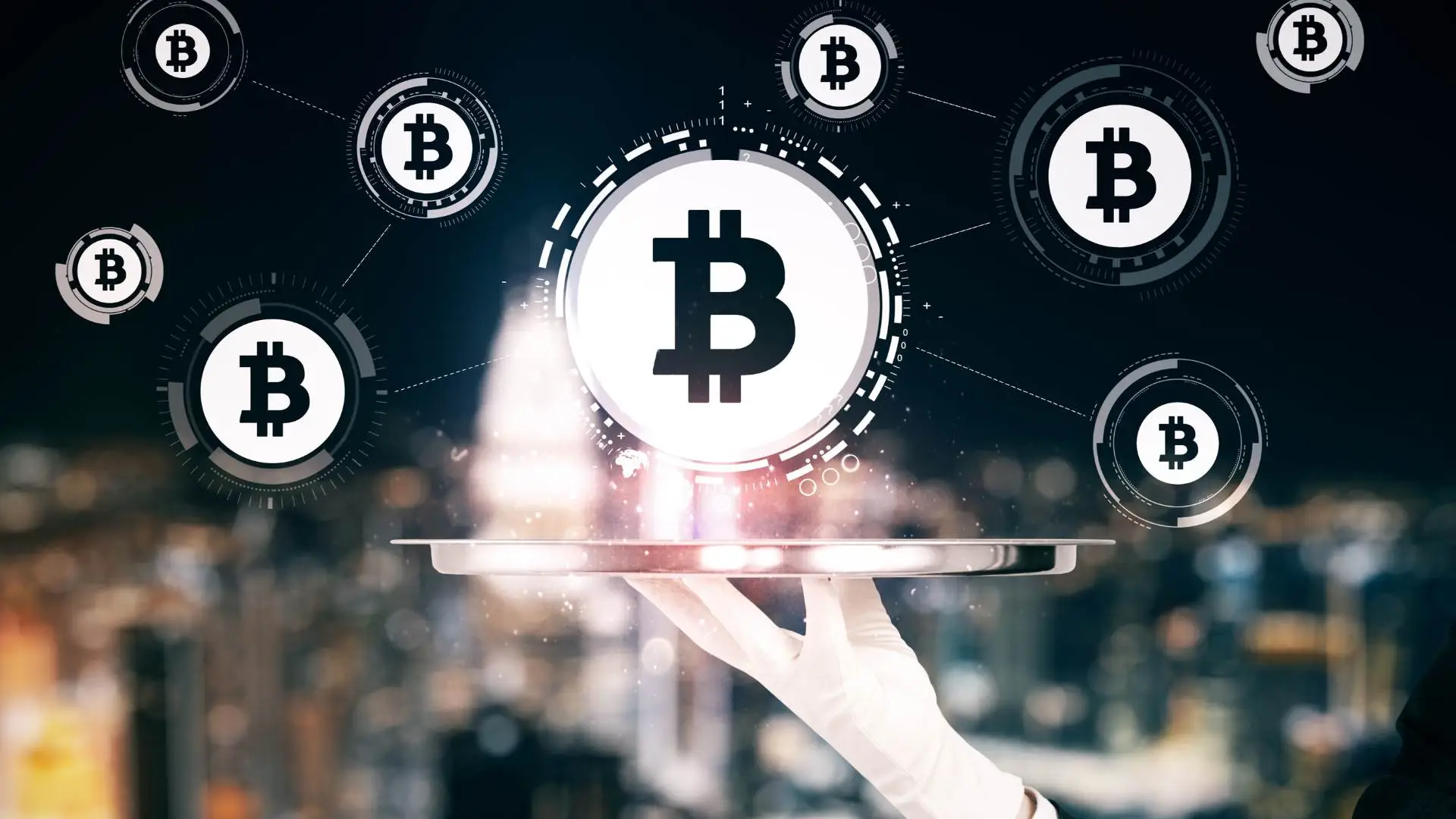 Crypto Market Crash